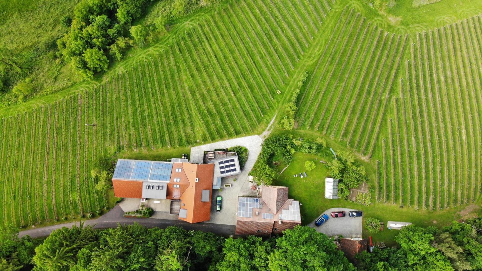 Bed and Breakfast Weingut Spitzypeitler Leutschach Esterno foto